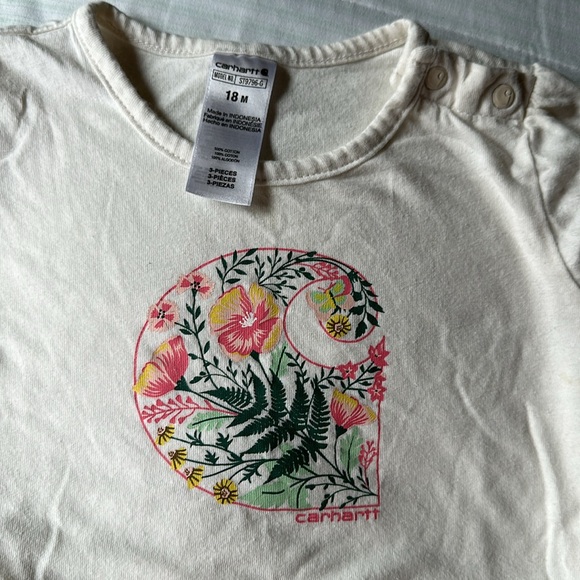 Carhartt overall set - Picture 5 of 16